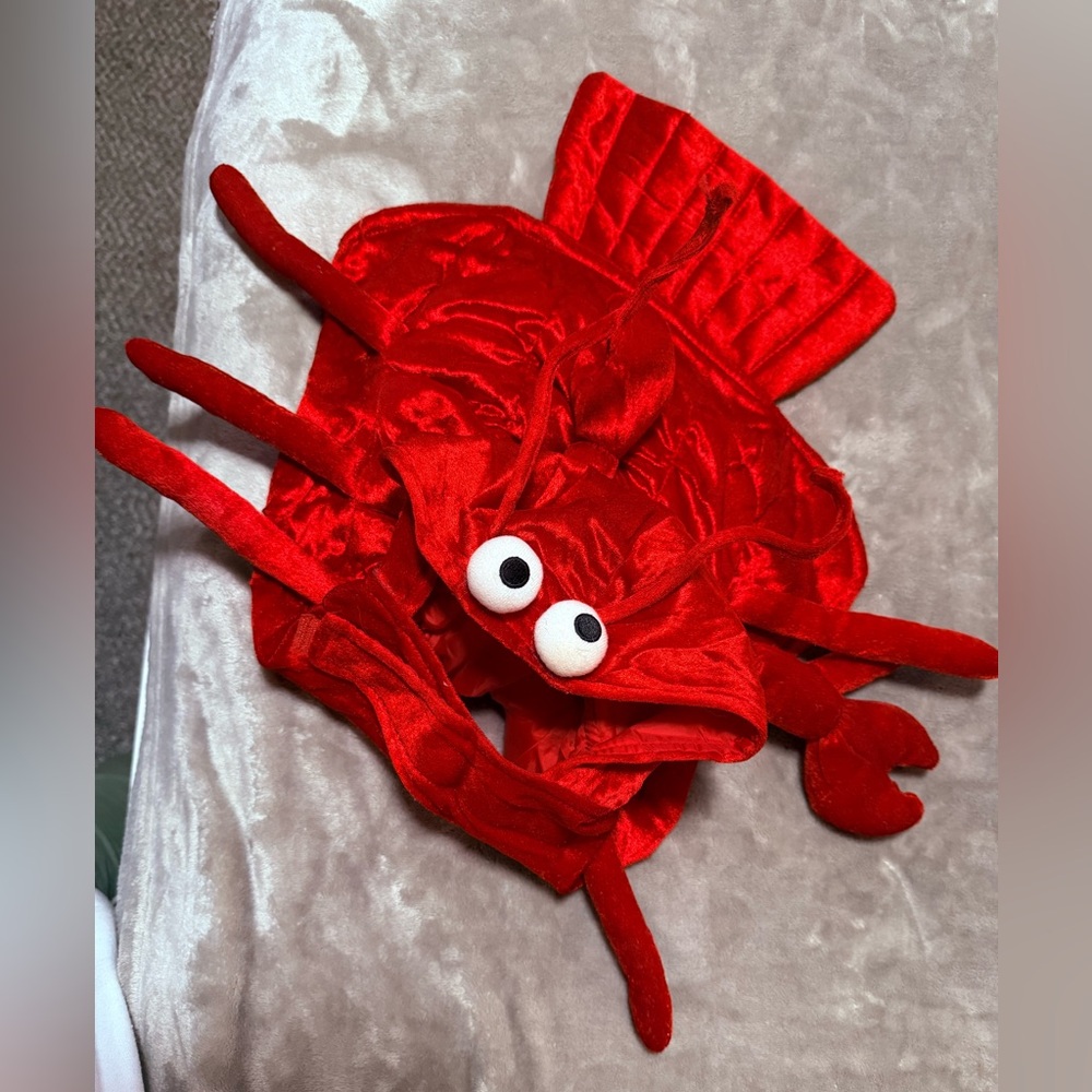Red Lobster Dog Costume